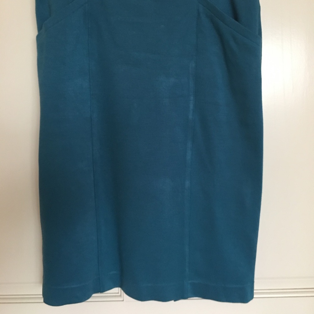 Cabi Sigourney Skirt